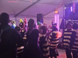 INSELKARNEVAL 2026 (ffburg)